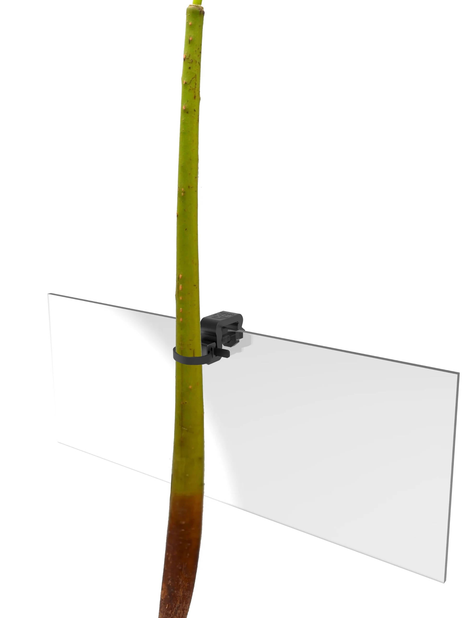 MRL - Mangrove & Probe Holder